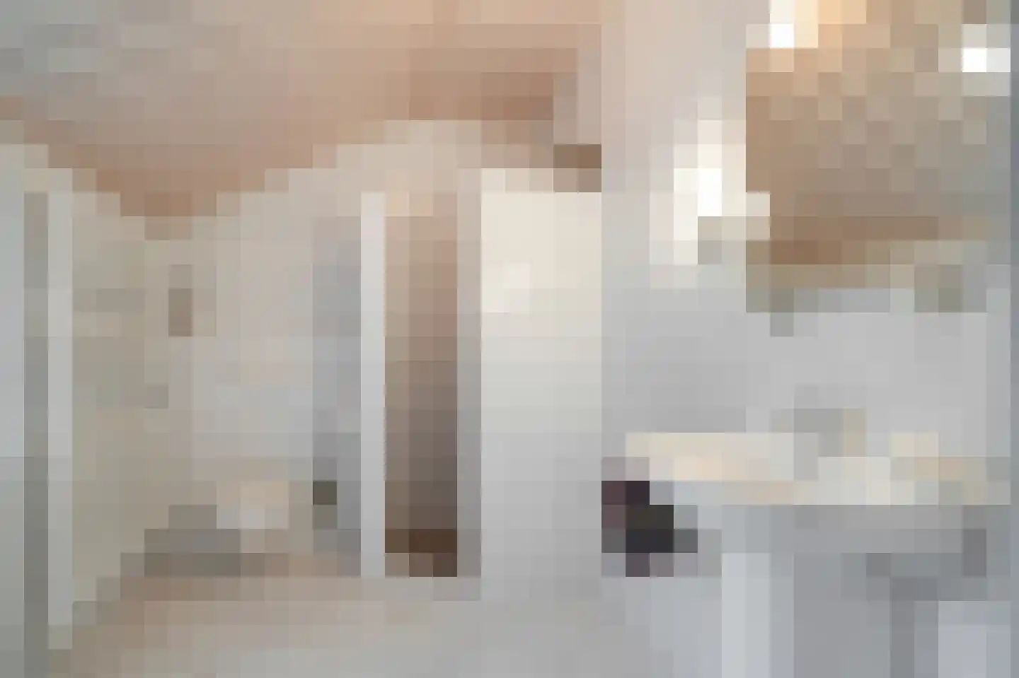 Hoefijzer 5 Hasselt thumbnail 44