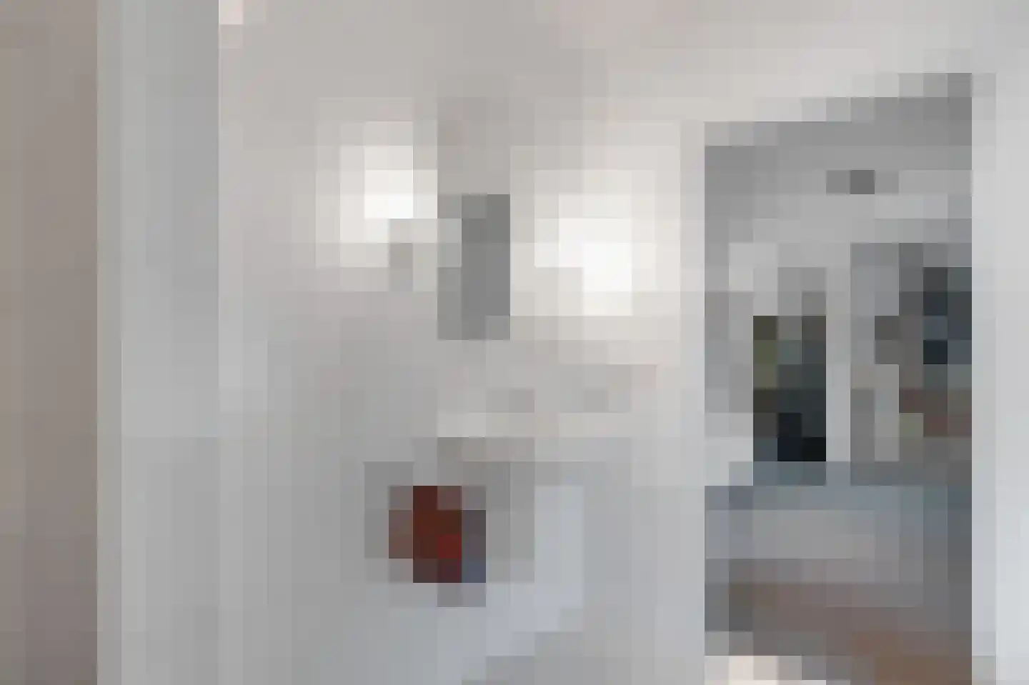 Hoefijzer 5 Hasselt thumbnail 45