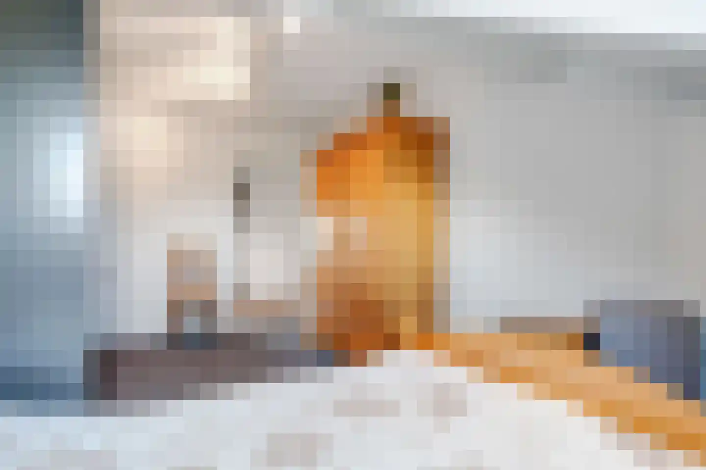 Hoefijzer 5 Hasselt thumbnail 49