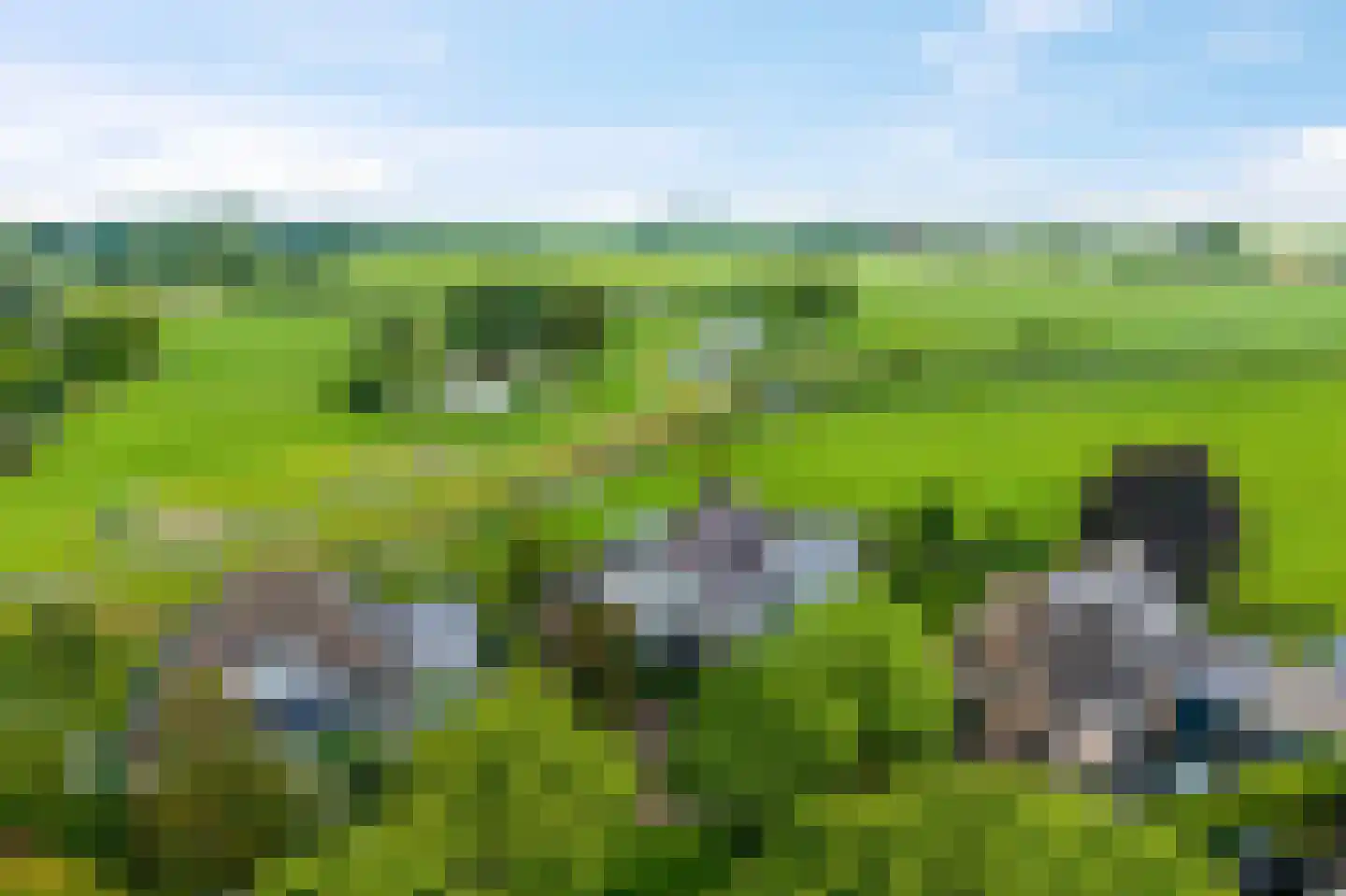 Hoefijzer 5 Hasselt thumbnail 52