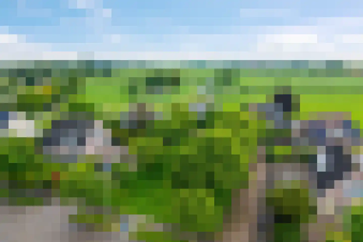 Hoefijzer 5 Hasselt thumbnail 53