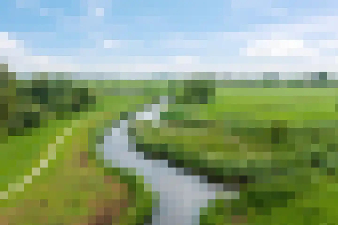 Hoefijzer 5 Hasselt thumbnail 55