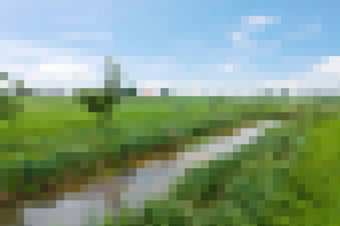 Hoefijzer 5 Hasselt thumbnail 60