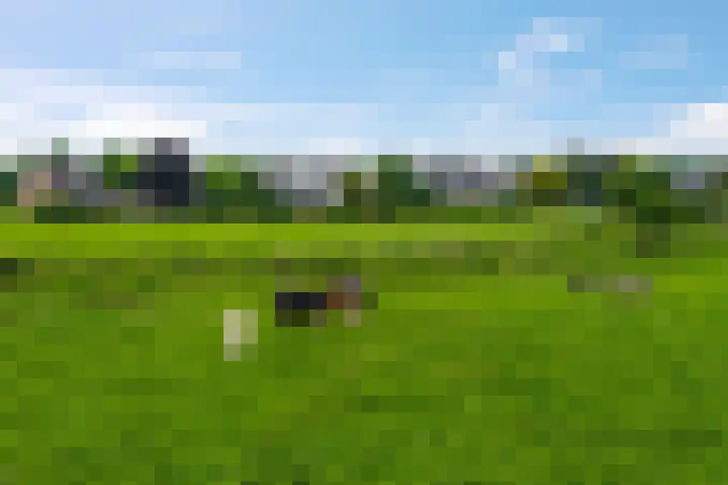 Hoefijzer 5 Hasselt thumbnail 61
