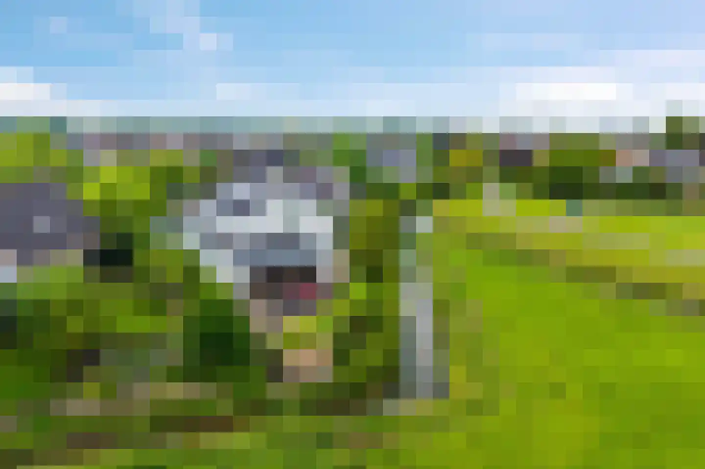 Hoefijzer 5 Hasselt thumbnail 62