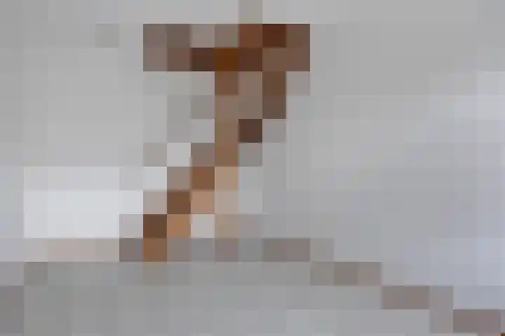 Hoefijzer 5 Noordwelle thumbnail 13