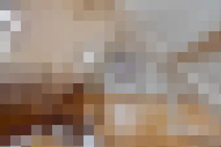 Hoefijzer 5 Noordwelle thumbnail 14
