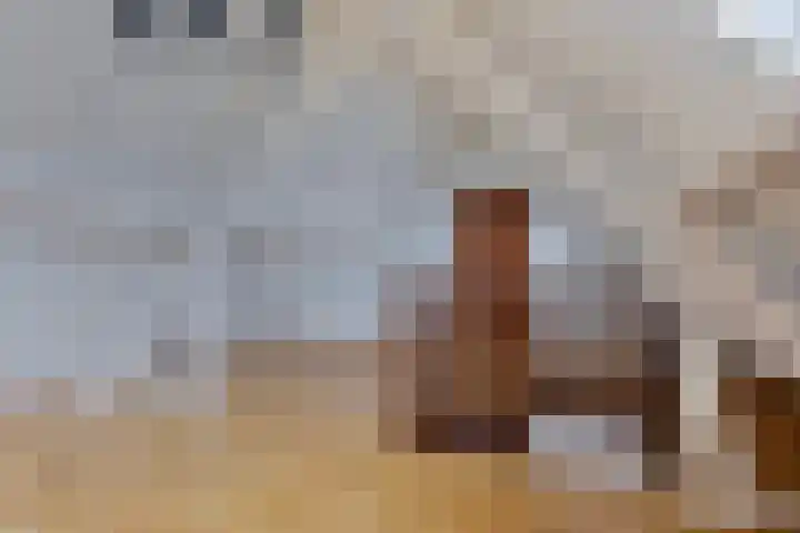 Hoefijzer 5 Noordwelle thumbnail 15