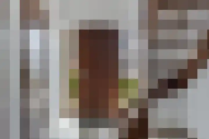 Hoefijzer 5 Noordwelle thumbnail 16
