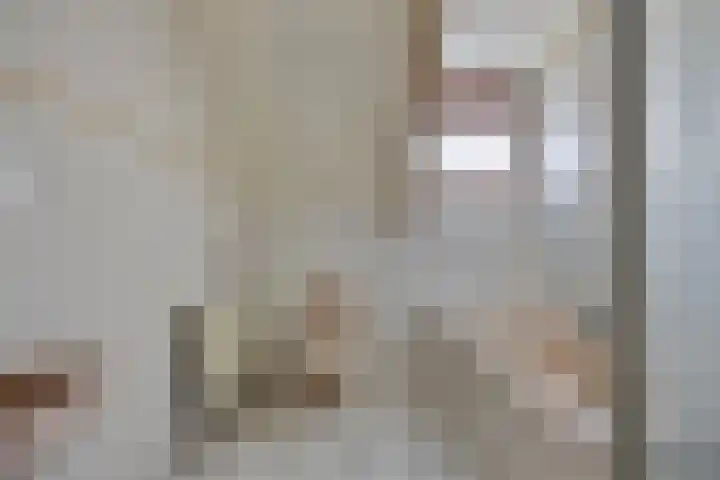 Hoefijzer 5 Noordwelle thumbnail 20