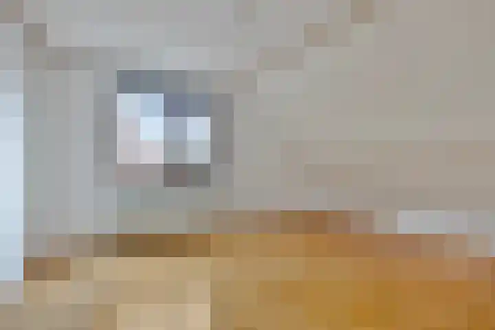 Hoefijzer 5 Noordwelle thumbnail 22