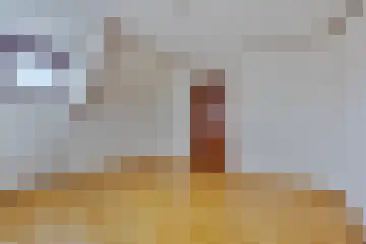 Hoefijzer 5 Noordwelle thumbnail 23