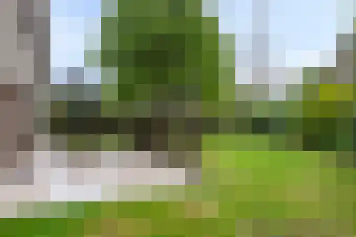 Hoefijzer 5 Noordwelle thumbnail 24