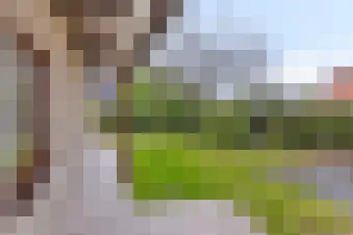 Hoefijzer 5 Noordwelle thumbnail 25