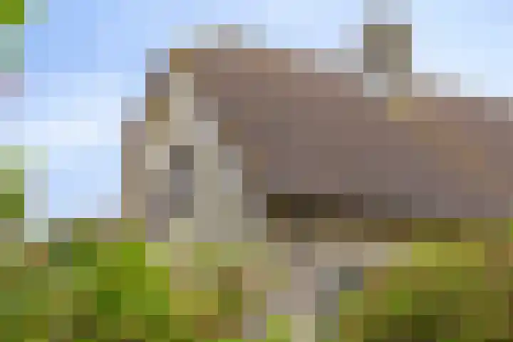Hoefijzer 5 Noordwelle thumbnail 27