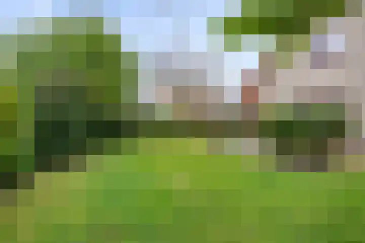 Hoefijzer 5 Noordwelle foto 3