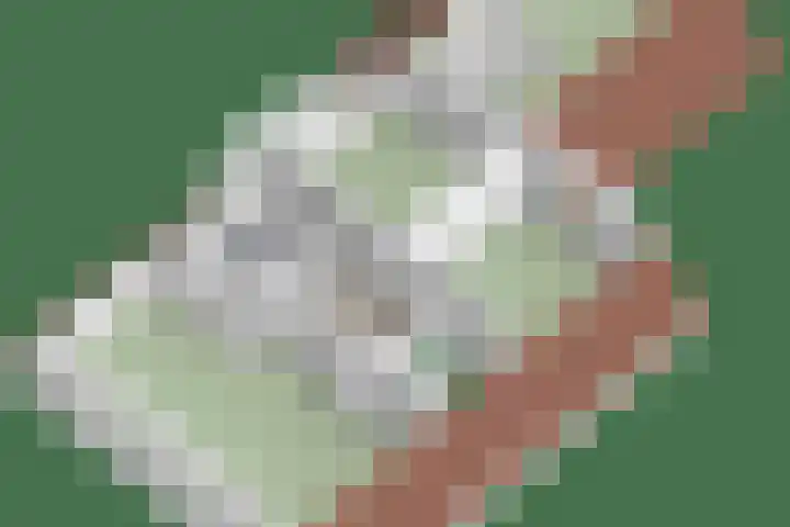 Hoefijzer 5 Noordwelle thumbnail 34
