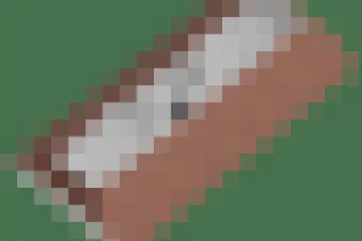 Hoefijzer 5 Noordwelle thumbnail 35