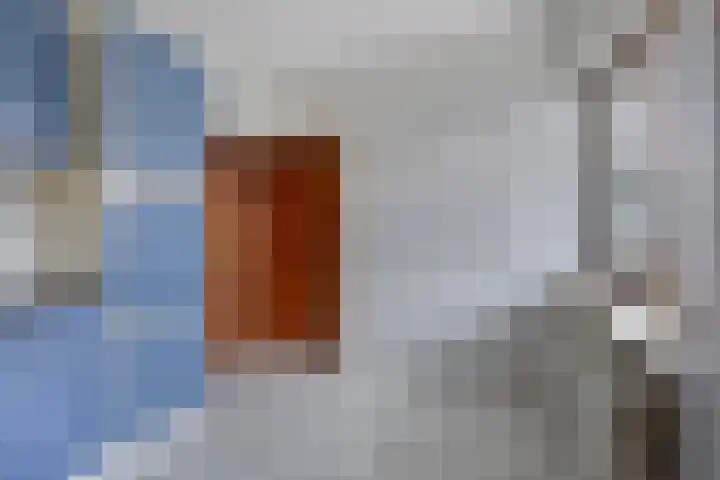 Hoefijzer 5 Noordwelle thumbnail 8