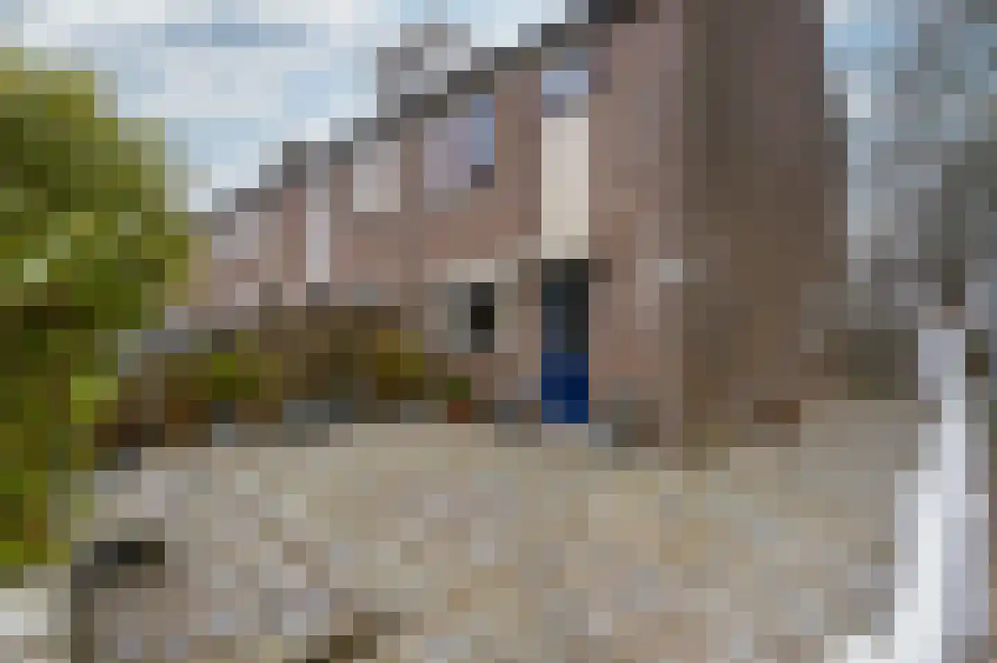 Hoefijzer 54 Zwaag