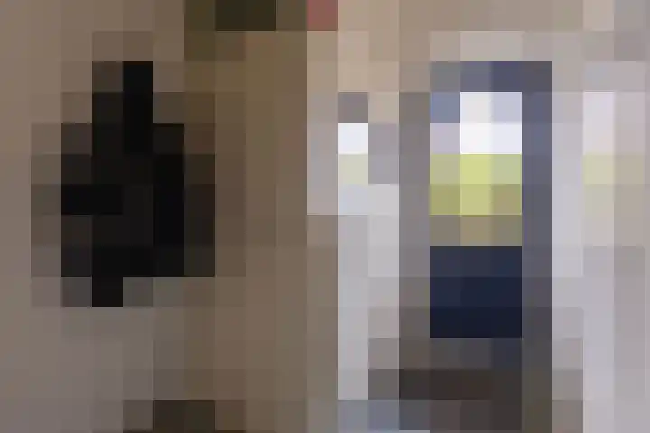 Hoefijzer 54 Zwaag thumbnail 11