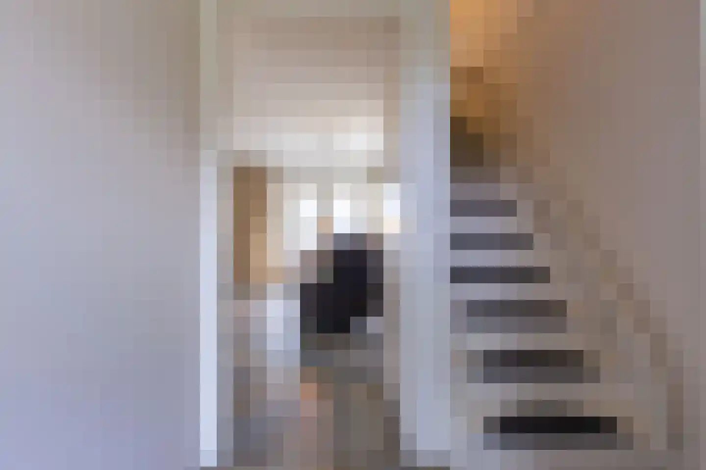 Hoefijzer 54 Zwaag thumbnail 12