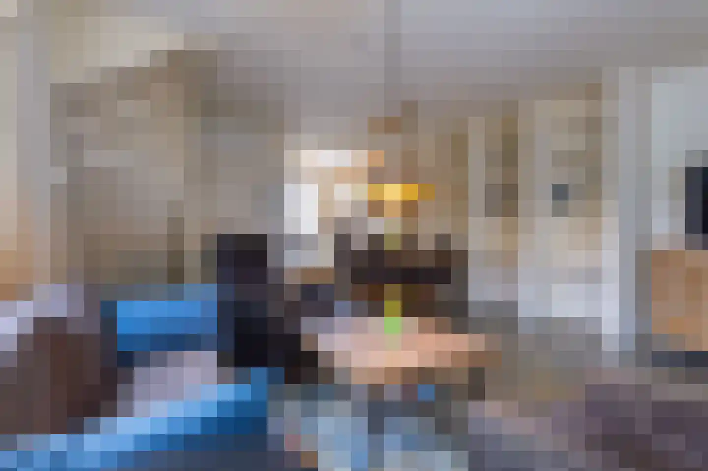 Hoefijzer 54 Zwaag thumbnail 13