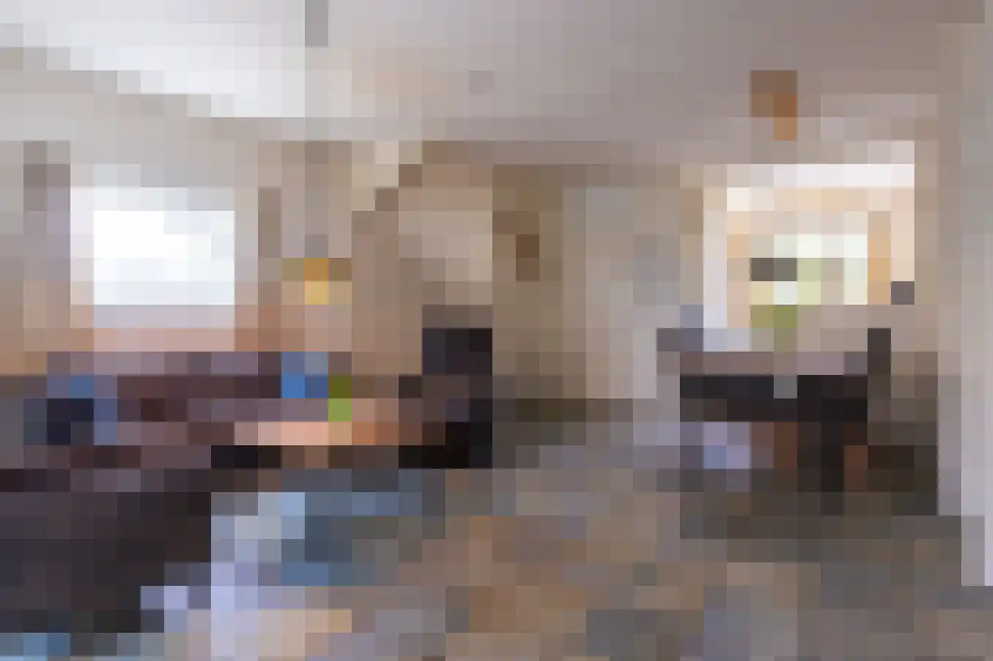 Hoefijzer 54 Zwaag thumbnail 14