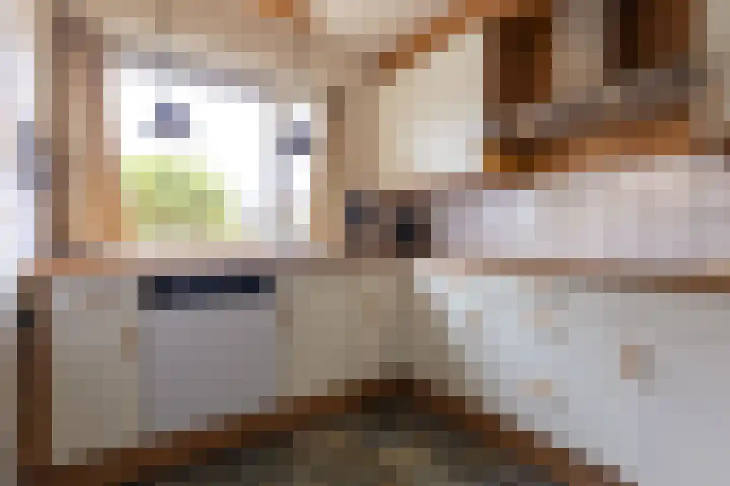 Hoefijzer 54 Zwaag thumbnail 15