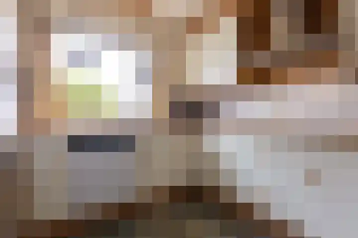 Hoefijzer 54 Zwaag thumbnail 15