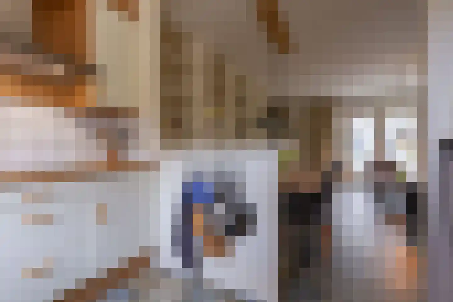 Hoefijzer 54 Zwaag thumbnail 16