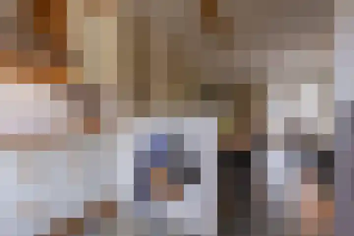 Hoefijzer 54 Zwaag thumbnail 16