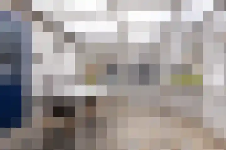 Hoefijzer 54 Zwaag thumbnail 19
