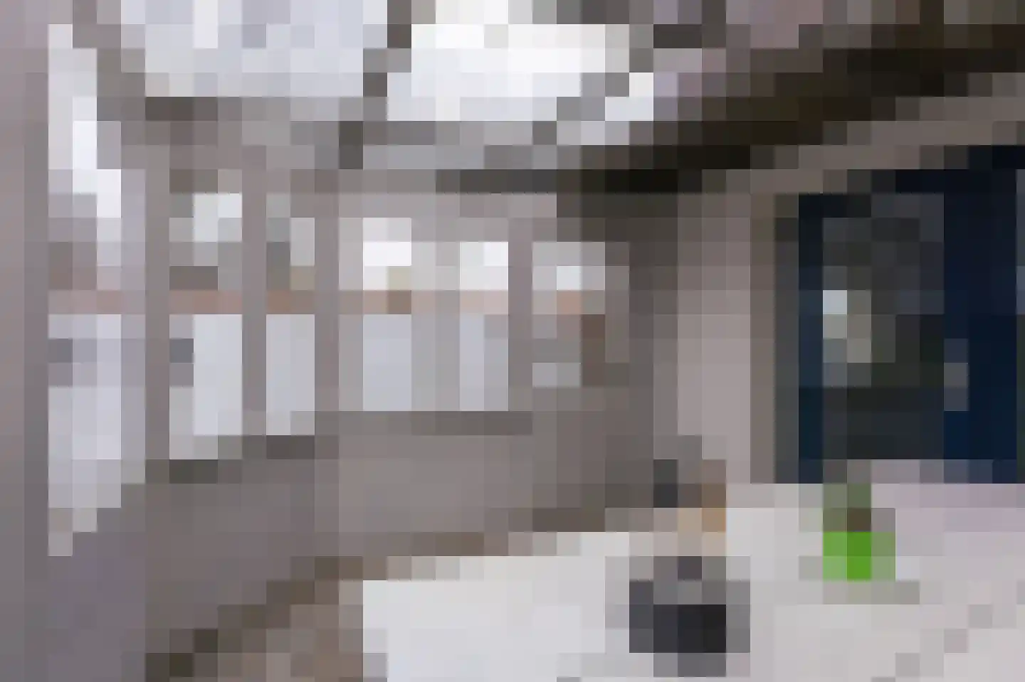Hoefijzer 54 Zwaag thumbnail 21