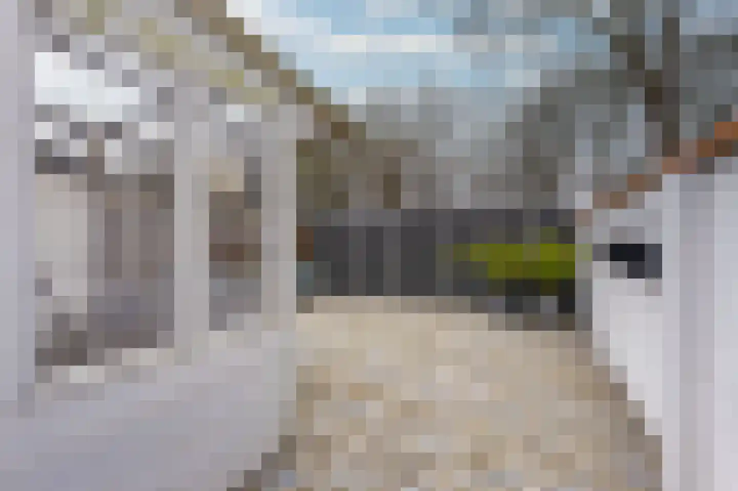Hoefijzer 54 Zwaag thumbnail 22