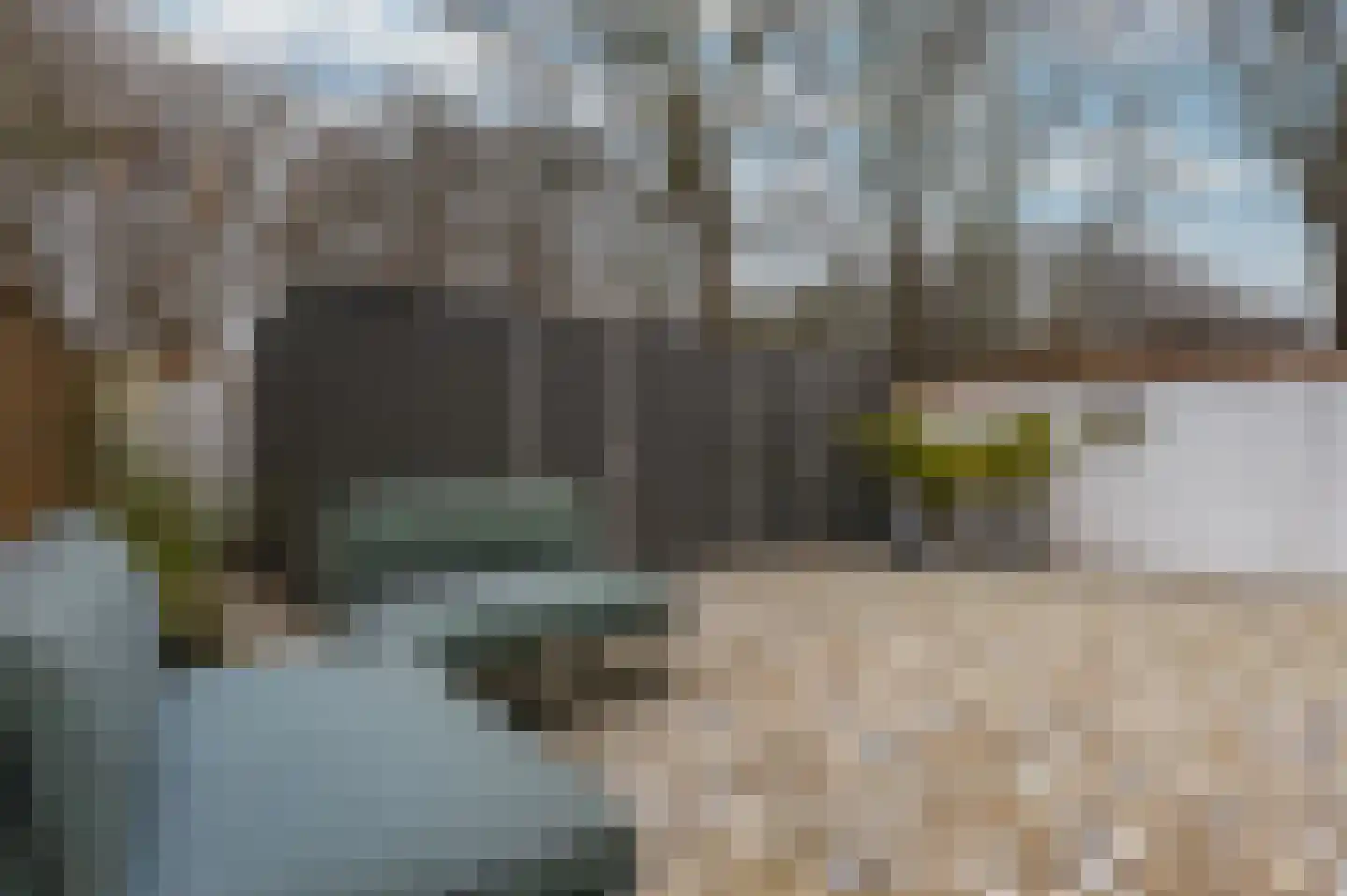 Hoefijzer 54 Zwaag thumbnail 25