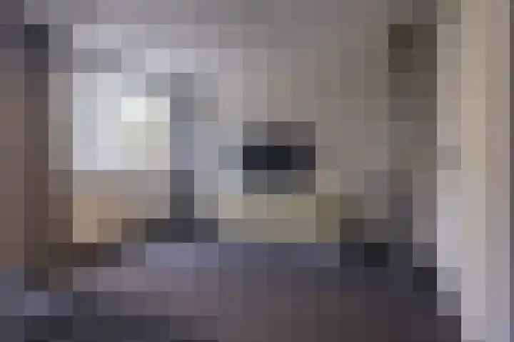 Hoefijzer 54 Zwaag thumbnail 28
