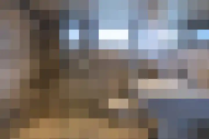 Hoefijzer 54 Zwaag thumbnail 30