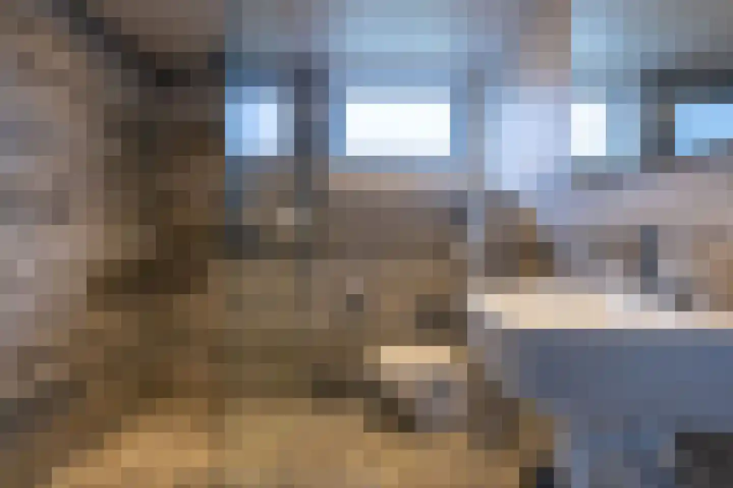 Hoefijzer 54 Zwaag thumbnail 30
