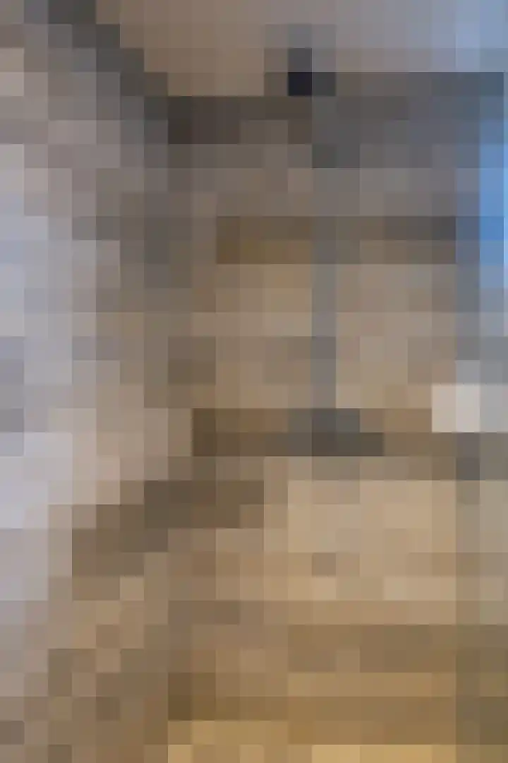Hoefijzer 54 Zwaag thumbnail 31