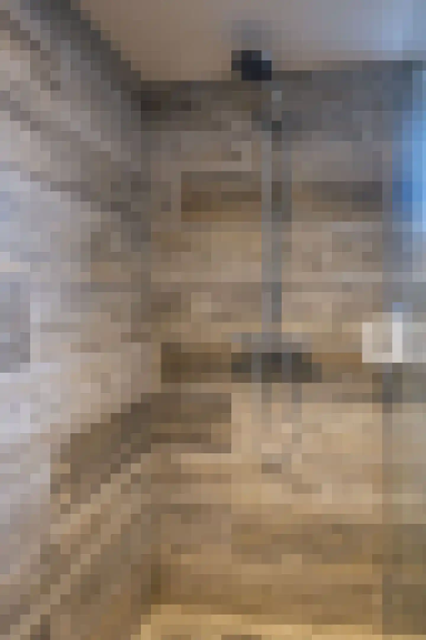 Hoefijzer 54 Zwaag thumbnail 31