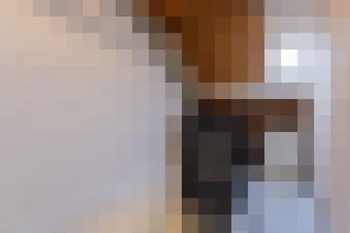 Hoefijzer 54 Zwaag thumbnail 35