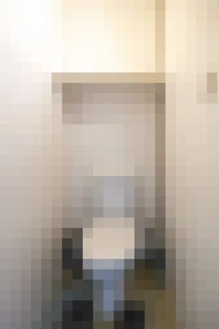 Hoefijzer 54 Zwaag thumbnail 39