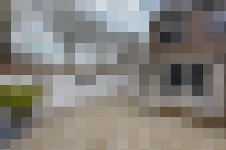 Hoefijzer 54 Zwaag thumbnail 4
