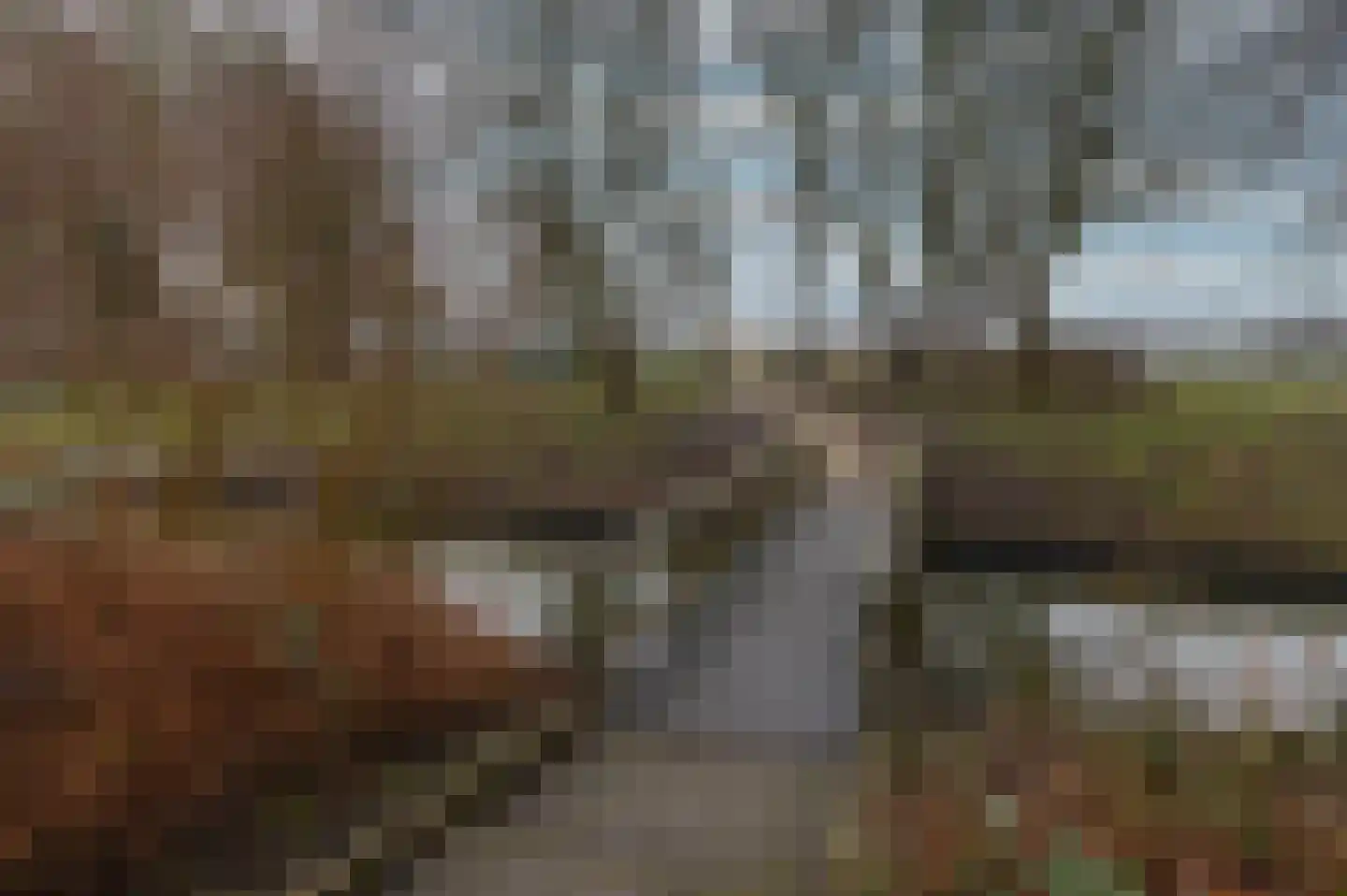 Hoefijzer 54 Zwaag thumbnail 5