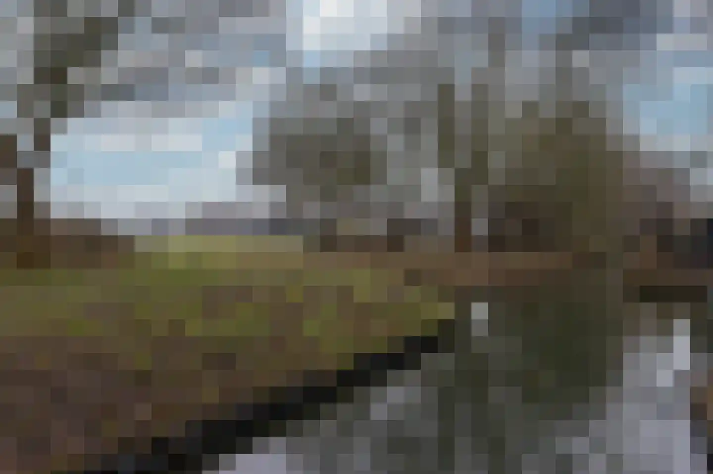 Hoefijzer 54 Zwaag thumbnail 6