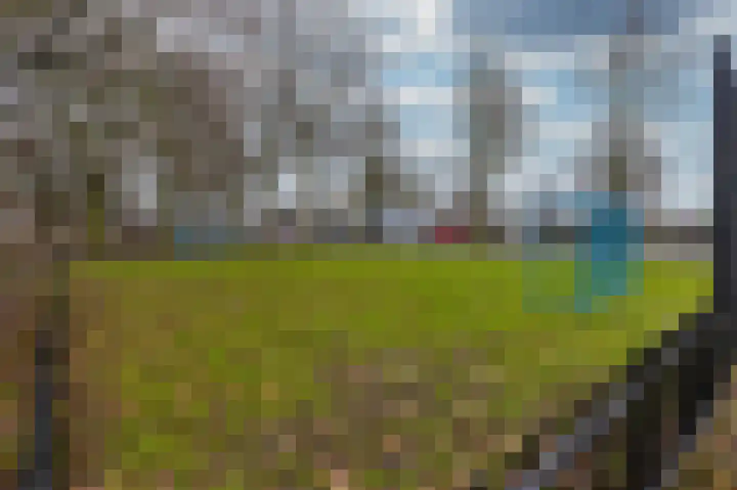 Hoefijzer 54 Zwaag thumbnail 7