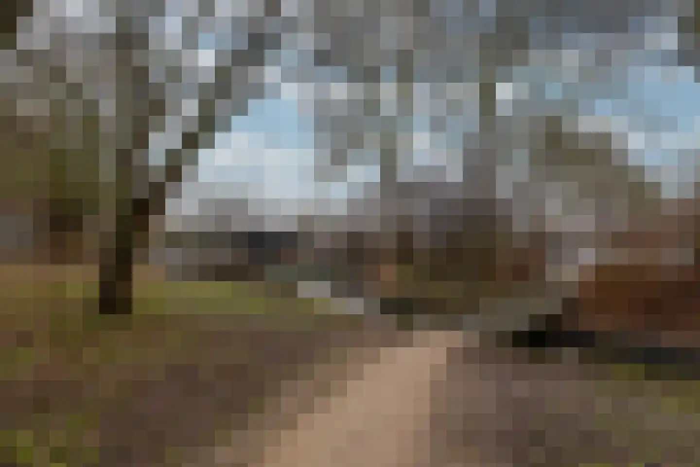 Hoefijzer 54 Zwaag thumbnail 8