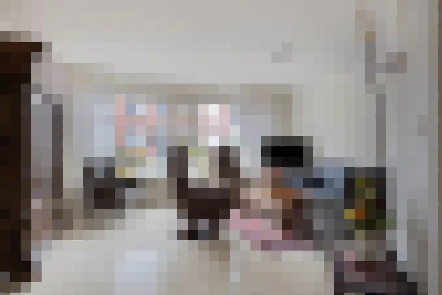 Hoefijzer 6 Bergen op Zoom thumbnail 12