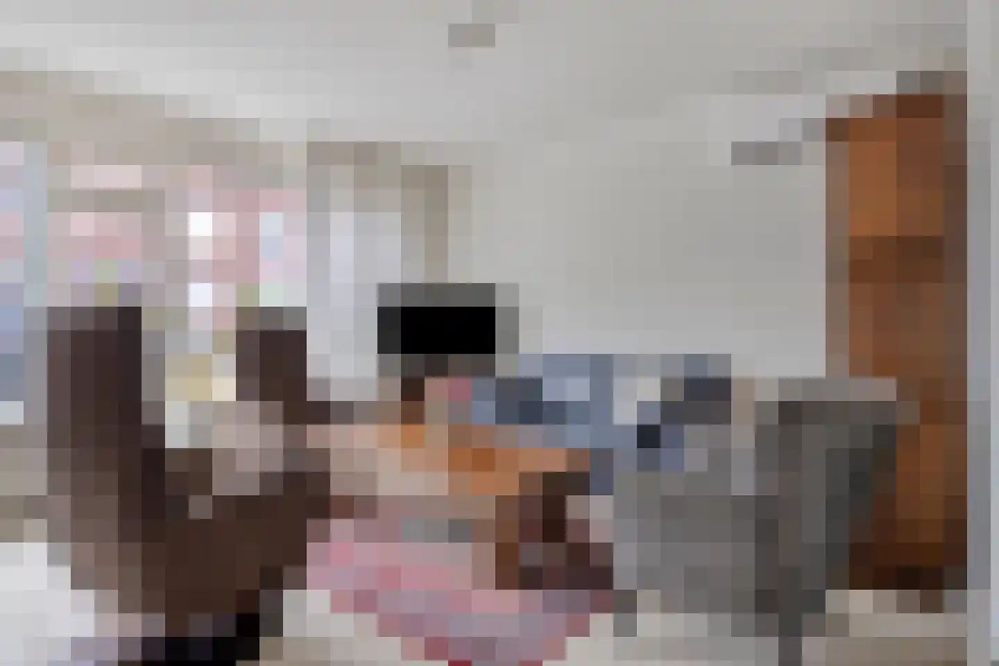 Hoefijzer 6 Bergen op Zoom thumbnail 13